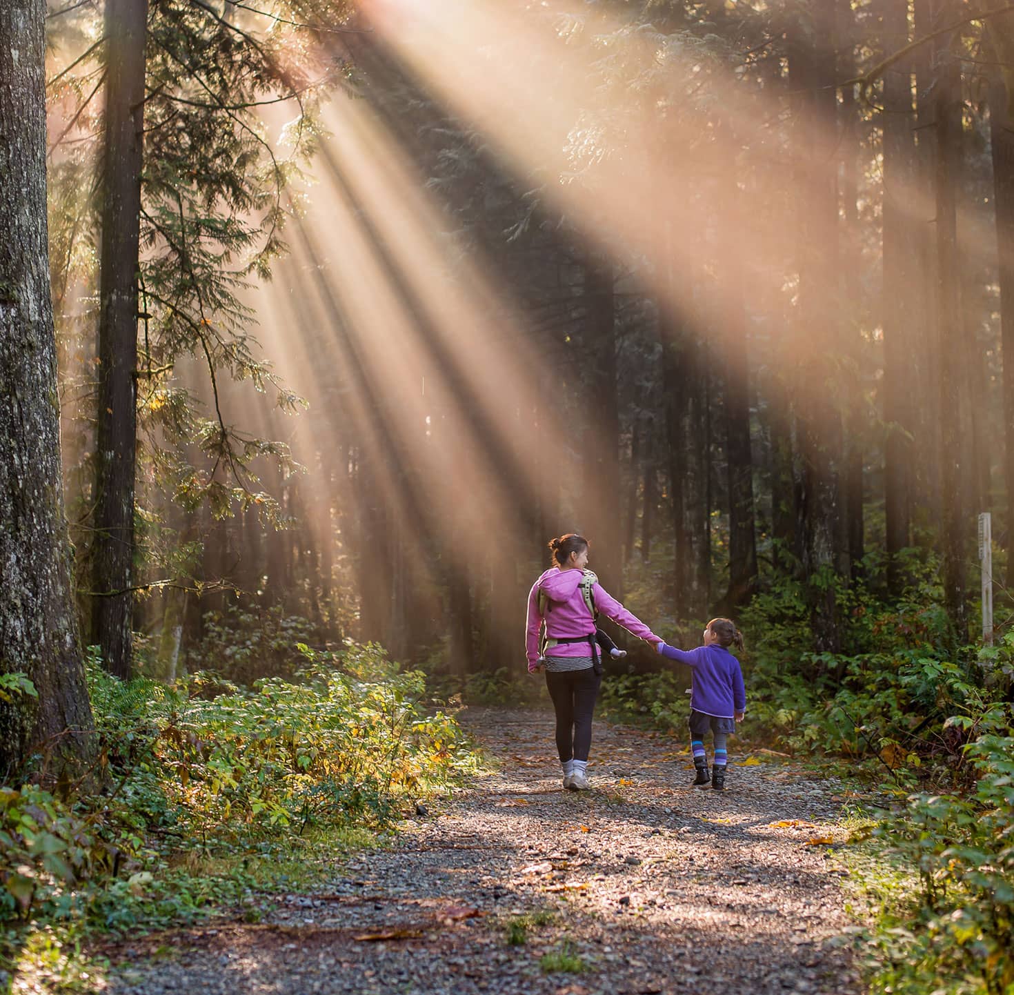 Une femme et son enfant se promènent en forêt
