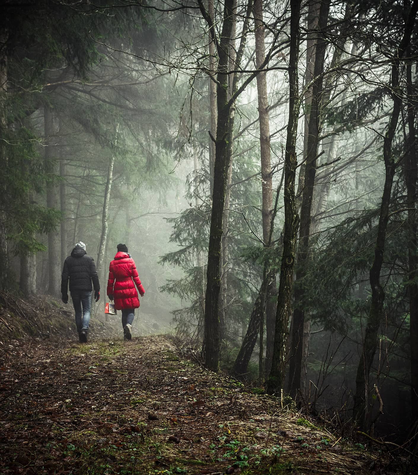 Un couple se promènent en forêt